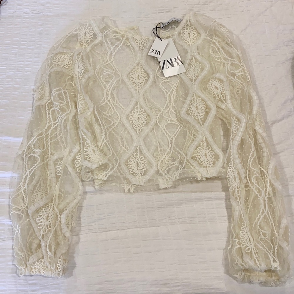NWT Zara Sheer Top